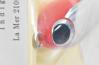 【魚じゃらし工房】 ラメール 210 レッドヘッドホロ UOJYARASHI-KOBOH La Mer K_060