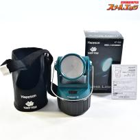 【ハピソンxサーティーフォー】 34 アジングライト YF-502 高輝度LED投光型集魚灯 HapysonxTHIRTY-FOUR K_060