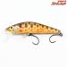 【エンドウアートクラフト】 ウッドベイト WB 6CDR 龍 2006 遠藤アートクラフト ENDO ART CRAFT WOODBAIT (検 生ワカ 茶ワカ 淡水用ハードルアー  K_060
