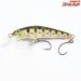 【エンドウアートクラフト】 ウッドベイト WB 5CDR アングロカスタム 2012 遠藤アートクラフト ENDO ART CRAFT WOODBAIT anglo&company 淡水用ハードルアー K_060