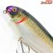 【ブラックドッグ】 ランカーパンカー 8インチ ウッド BlackDog Bait Co LUNKER PUNKER ビックベイト 淡水用ルアー K_060