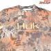 【ハック】 Huk Performance Fishing Camo Long Sleeve ブラウン サイズS K_060