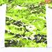 【ハック】 Huk Performance Fishing Camo Long Sleeve カラーbiolume サイズS K_060