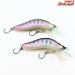 【エンドウアートクラフトxアングロ&カンパニー】 HOBO WBウッドベイト 50MD 2023 遠藤アートクラフト 2個セット ENDO ART CRAFT WOODBAIT anglo&company K_060