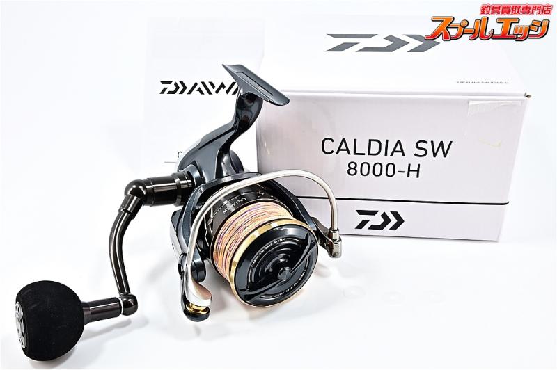 DAIWA（釣り） ダイワ カルディア CALDIA SW 8000-H