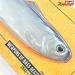 【DRTxワーキングクラスゼロ】 タイラント 8 レイクシャッド DRTxWCZ Working-Classzero TYRANT 8inch Lake Shad 淡水用ルアー K_060