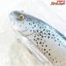 【ワーキングクラスゼロ】 バトルズトラウト 11インチ 生産終了 WCZ WORKING CLASS ZERO BATTLE TROUT 淡水用ルアー K_060